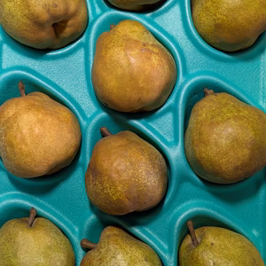 ラ・フランス食べ頃大サイズ