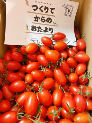 みんなの投稿の画像