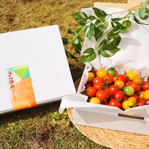 【ギフト】食卓に彩りを♪カラフルトマト1.2kg【トマト食べ比べ】