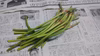 無農薬無化学肥料栽培　ニンニクの芽