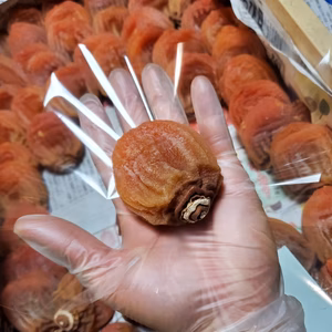 【幕府献上贈答霜降り柿】最大糖度50度オーバー【特大10粒約600g】12月予約