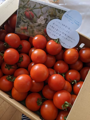 みんなの投稿の画像