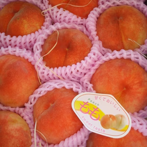 あかつき桃     8月上旬発送　訳あり　ご家庭専用コース　2.8キロ10個前後