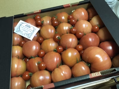 みんなの投稿の画像