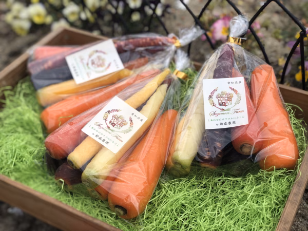 鈴盛農園 しあわせのカラフルにんじん 6パックセット