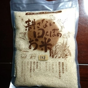 令和4年冬季湛水不耕起栽培米  (いのちの壱）精米2kg～