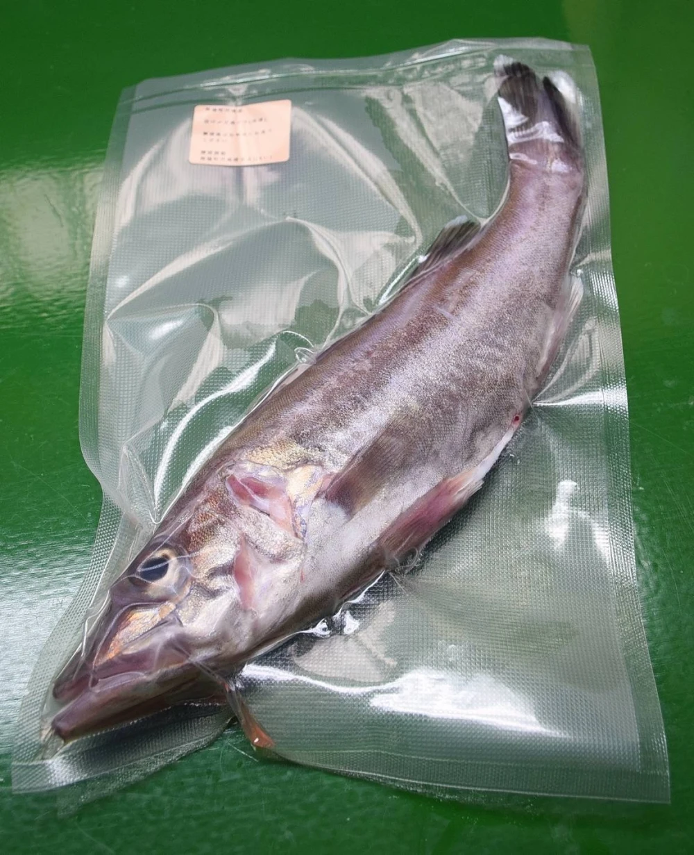 冷凍！高級魚！船上活け〆アラ　約1kg(2〜4匹)