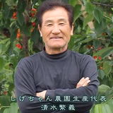 清水繁義 | しげちゃん農園　清水 繁義
