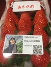 完熟石垣イチゴ 紅ほっぺ&あきひめ DX 4パック