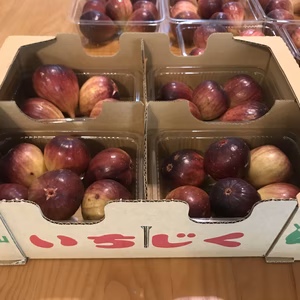 有機JAS いちじく ドーフィン　400g x 4パック　和歌山県産