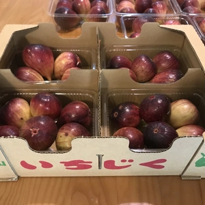 有機JAS いちじく ドーフィン　400g x 4パック　和歌山県産