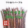 ただ今増量中！【全国送料無料】パープルだけの訳ありアスパラ
