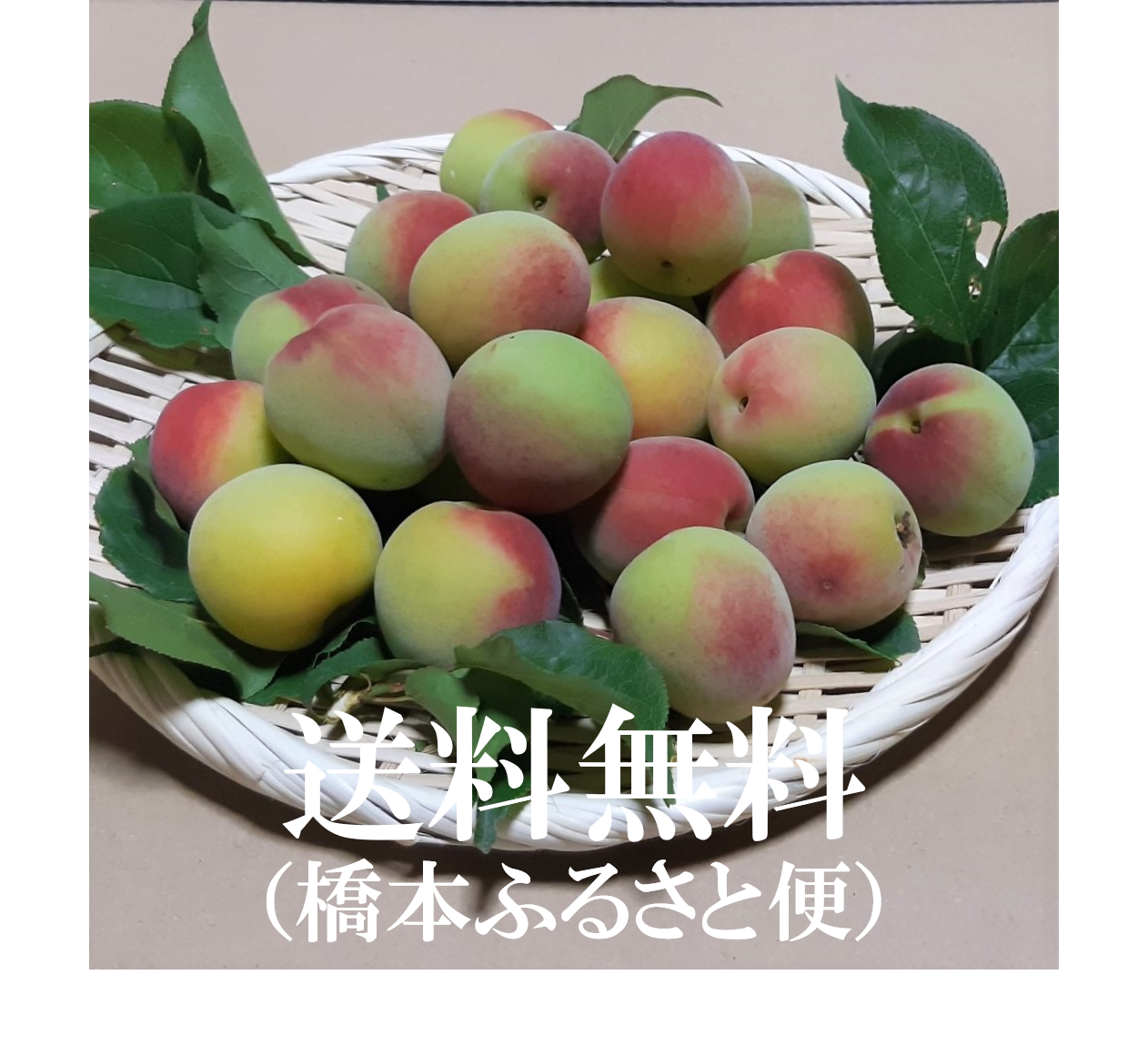 香りただよう青梅 紅さし南高 L Llサイズ 梅干など 和歌山県産 農家漁師から産地直送の通販 ポケットマルシェ