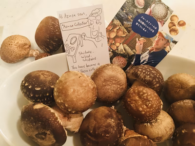 みんなの投稿の画像