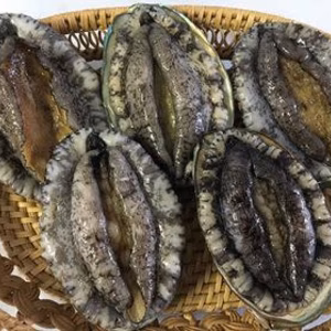 白神活あわび(国産アワビ）80/90ｇ　５個入り