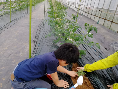 みんなの投稿の画像