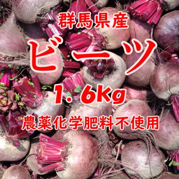 群馬県産】ビーツ 1.6kg【農薬化学肥料不使用】｜野菜の商品詳細