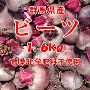 【群馬県産】ビーツ 1.6kg【農薬化学肥料不使用】