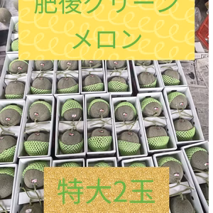 肥後グリーンメロン特大2玉 贈答用 家庭用