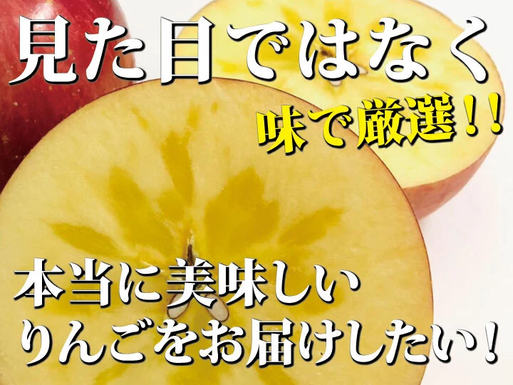 【予約限定特価!!】青森県産りんご「樹上完熟葉とらずふじ」訳あり厳選品!!