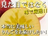 【予約限定特価!!】青森県産りんご「樹上完熟葉とらずふじ」訳あり厳選品!!