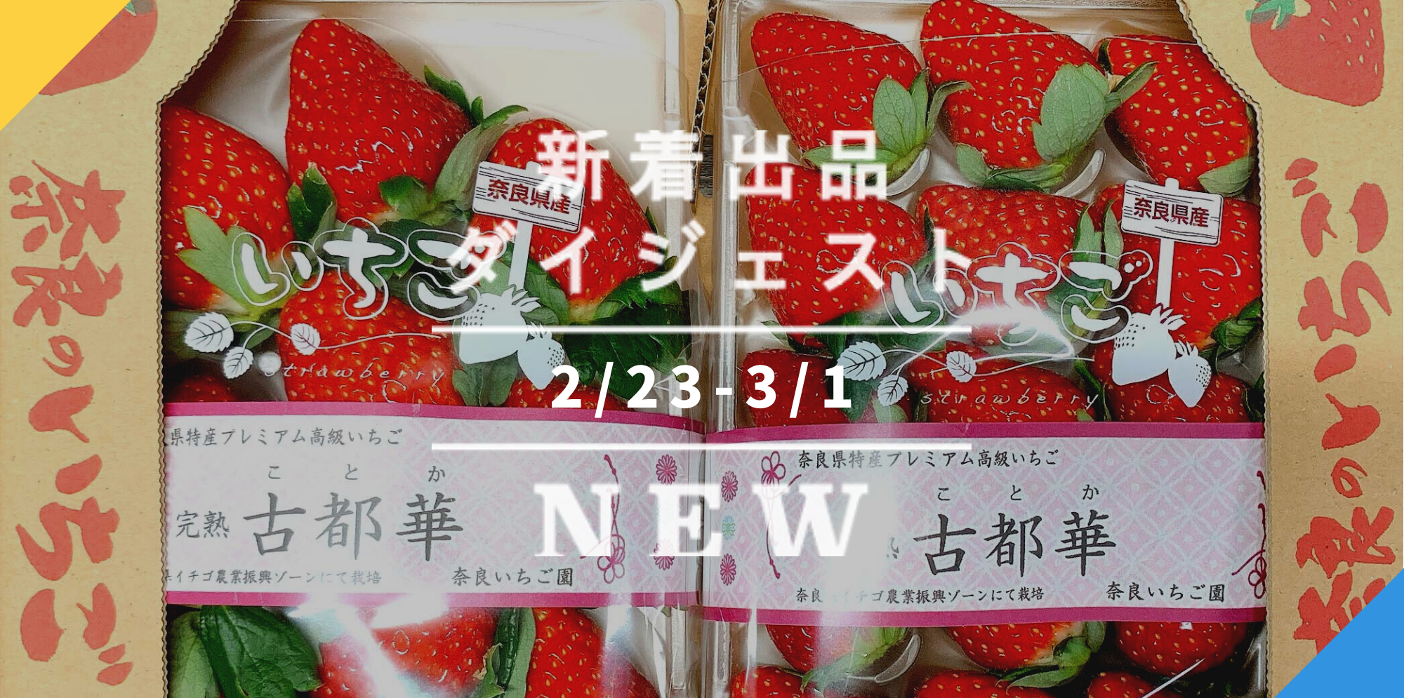 バックナンバー]春のお祝い3選→奈良県秘蔵いちご「古都華」🍓証明書