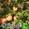 【お菓子作りにいかがですか？】サンふじ りんご お菓子用 3～10㎏