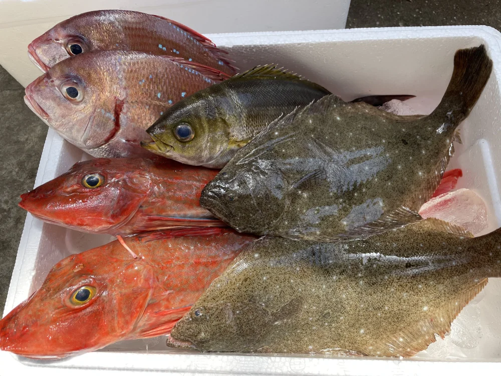 【島漁師おまかせ鮮魚セット】プラスワタリガニ2杯入り2〜3種類 ※活〆血〆神経〆