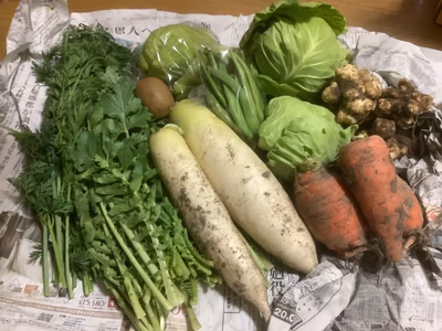 みんなの投稿の画像