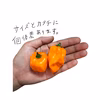 フルーティーな香りの激辛唐辛子！オレンジハバネロ！