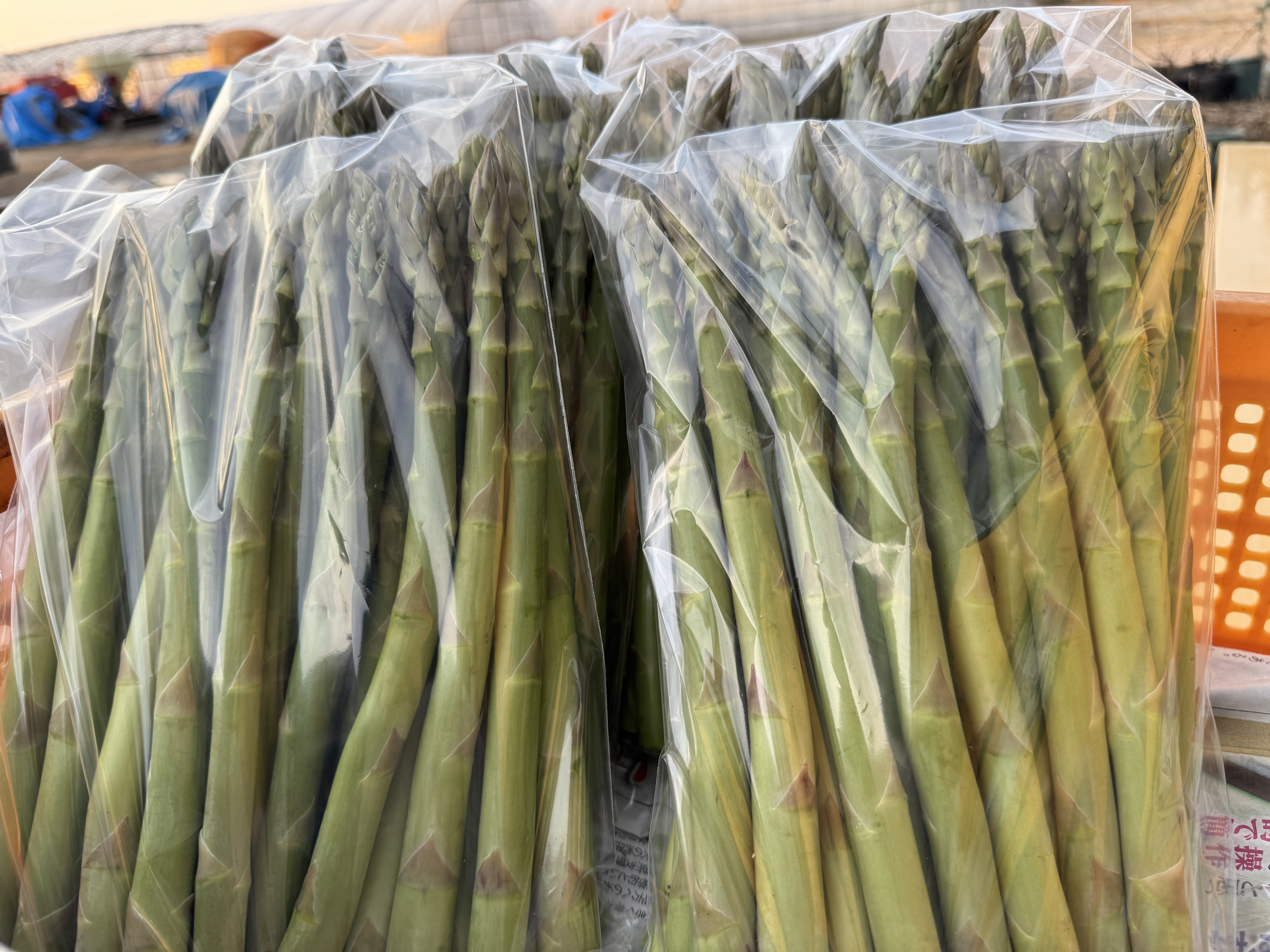料理に使いやすいLサイズ♩北海道上富良野産アスパラ900g みんなでシェア簡易包装L900g×10袋