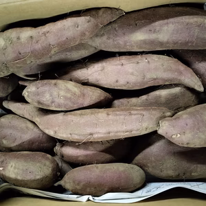 熟成さつまいも　シルクスイート　　パチャママ農園