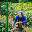 山本貴文