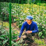 山本貴文 | 貴山農園