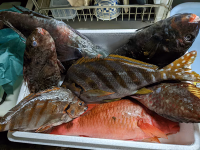 みんなの投稿の画像