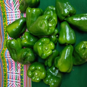 肉厚ピーマン★エリア限定発送
