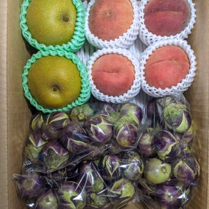 桃と梨とナスのセット