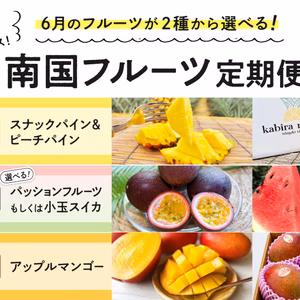 「南国フルーツ定期便」九州・沖縄からお届け