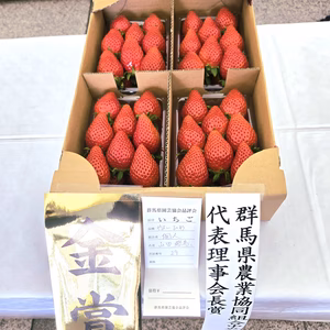 【1月予約】やよいひめ 群馬県いちご品評会金賞 かなり濃いいちご280ｇ×2～