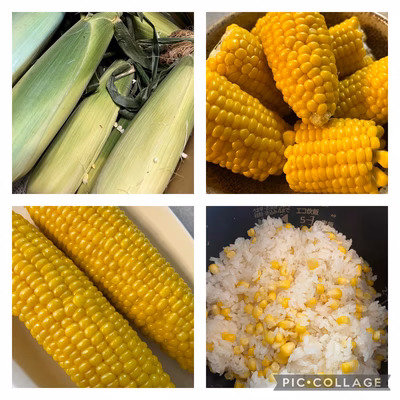 みんなの投稿の画像