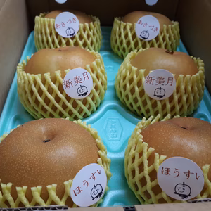 B-ASH2【自家用中玉】 秋月・新美月・豊水 2キロ(6玉)