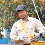 手塚貴光