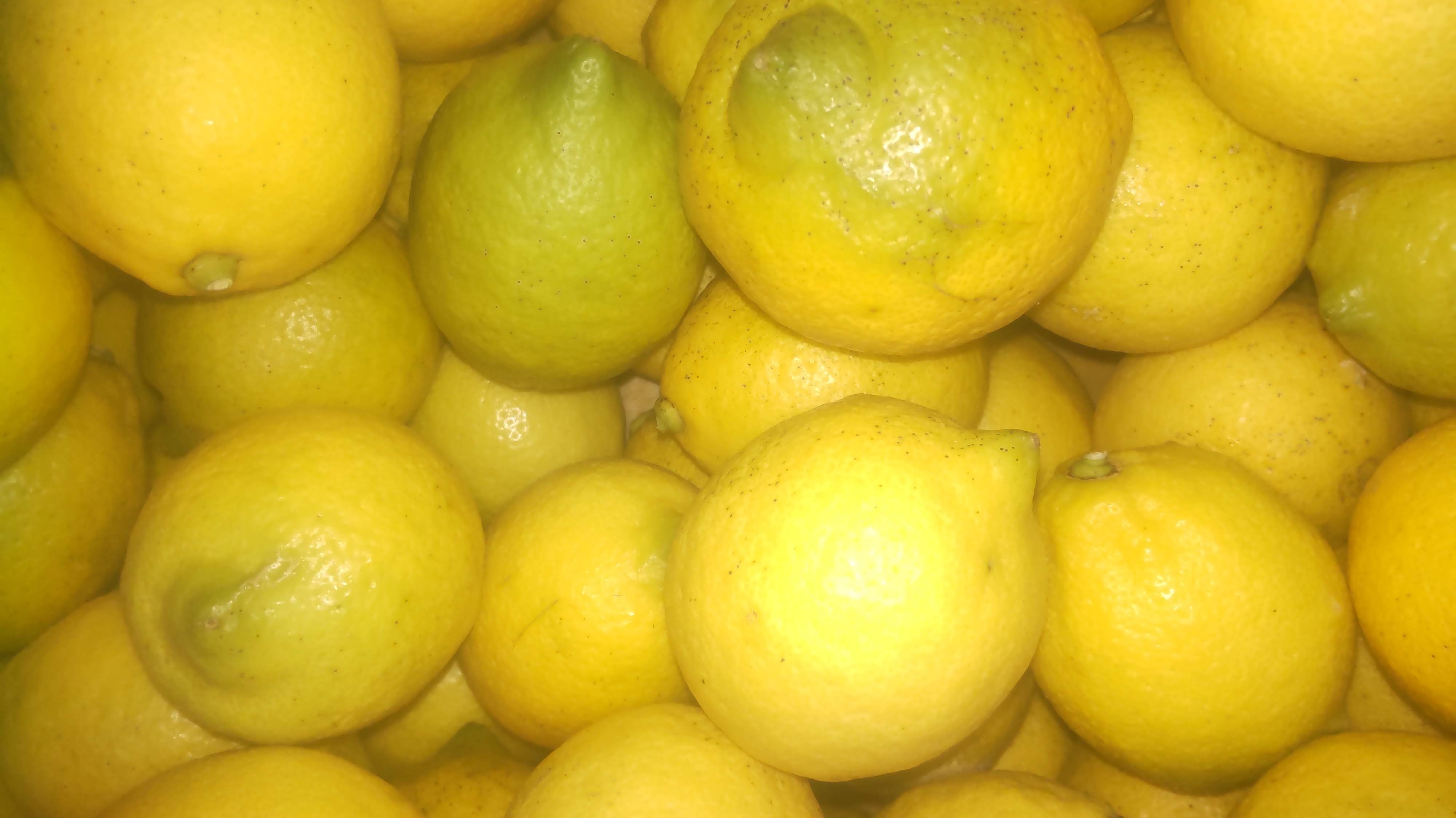 皮も使える広島県産レモン 訳ありの三級品 2kg(約20個入)即日発送可能