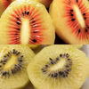 体が喜ぶ！キウイフルーツ 紅妃（superbaby）＆Sun2イエロー2種セット