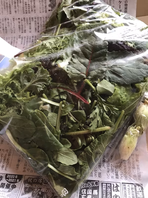 みんなの投稿の画像