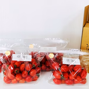 【夏ギフト】高糖度「ほれトマト」450ｇ*４袋　糖度10度以上の極上ミニトマト