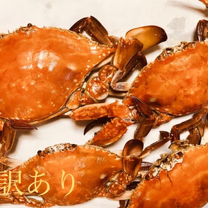 美味しいのに訳あり‼︎竹崎カニ2キロ（サイズまぜ）