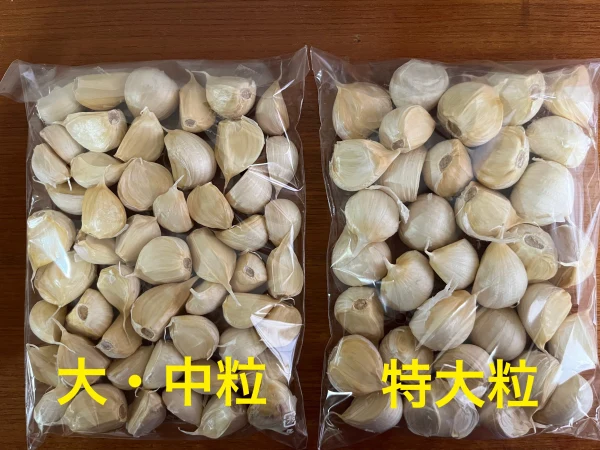 明日発送‼️中小粒500gこだわり強めな乾燥にんにぐ(にんにく)
