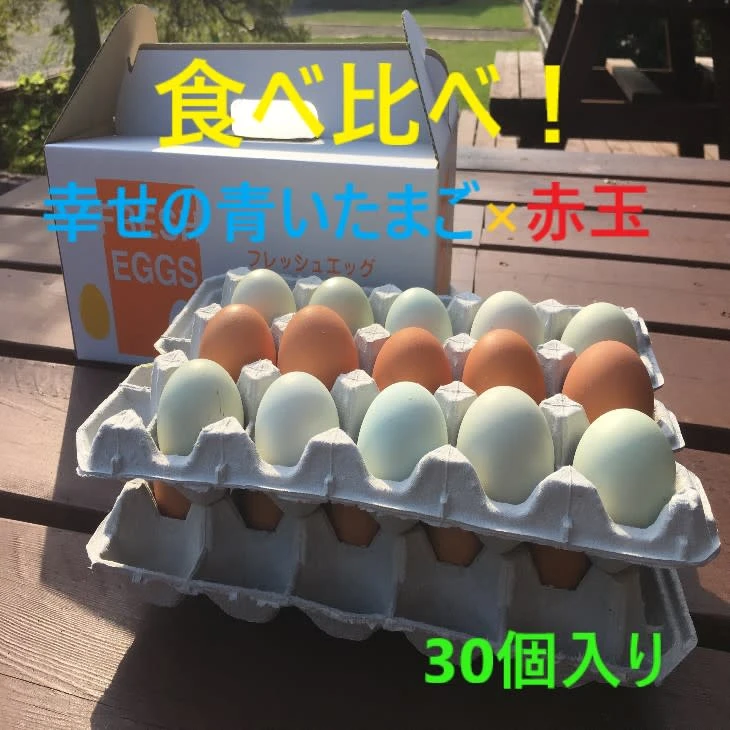 アローカナ➕もみじの地養卵　ハーフセット　20～50個