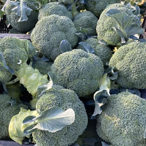 うま〜いブロッコリー　6玉　約1.5kg